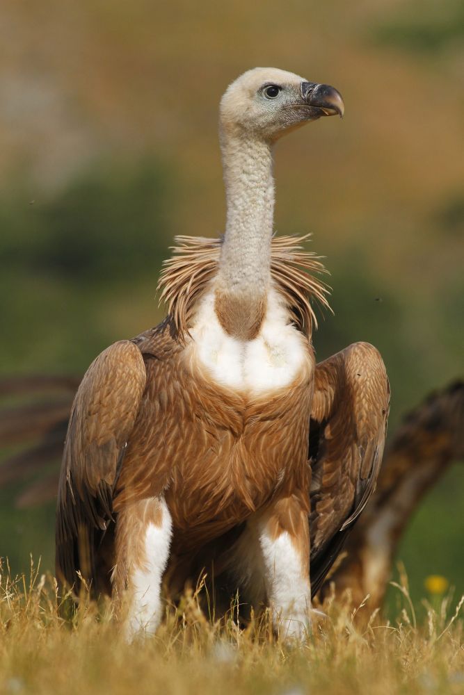 Photo voyage Espagne 6