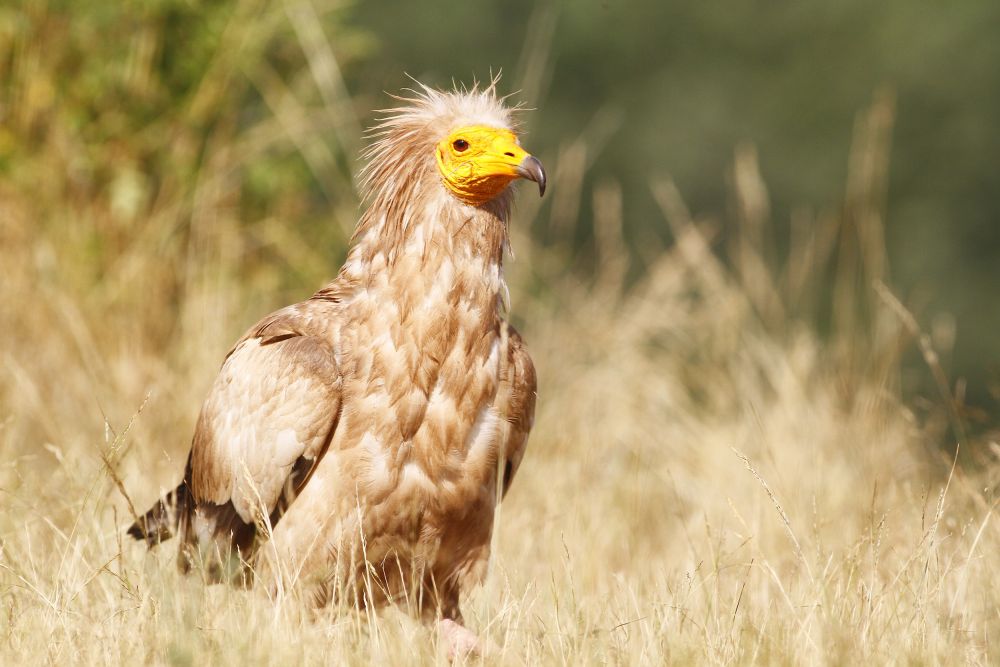 Photo voyage Espagne 8