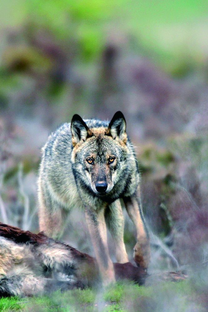 Photo voyage Espagne 3