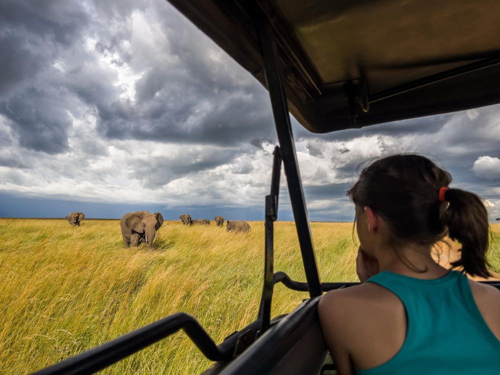 safari Maasaï Mara éléphants
