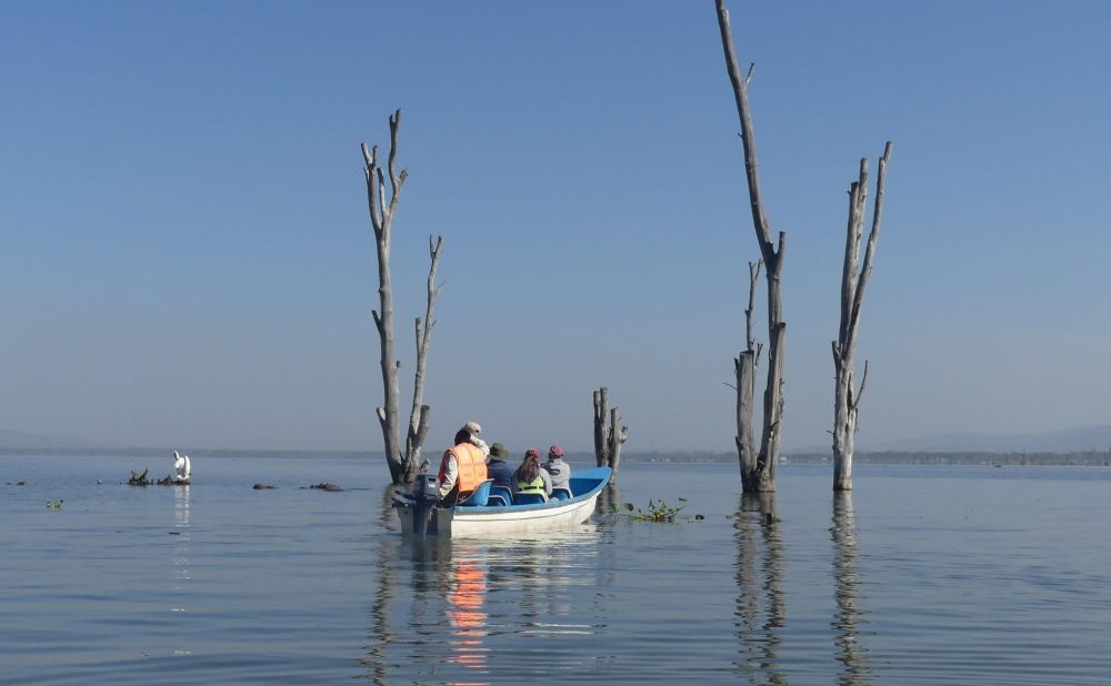 Safari en bateau lac de Naivasha Kenya