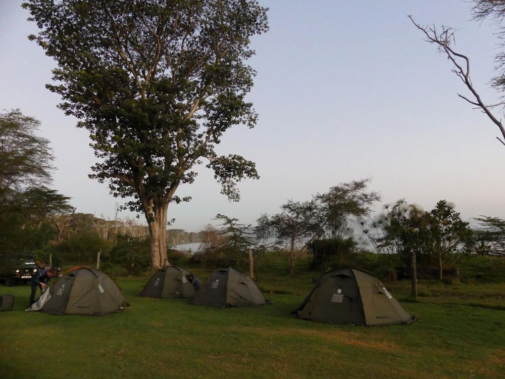 camping Naivasha au bord du lac Kenya