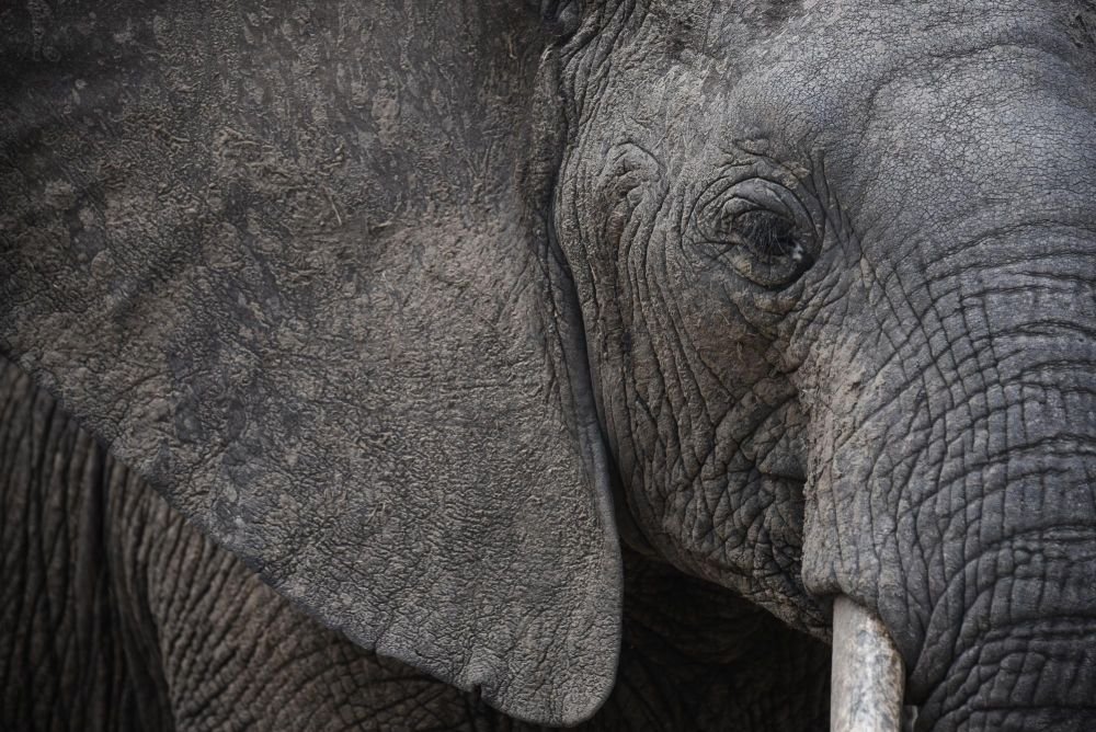 Photo voyage Tanzanie 14