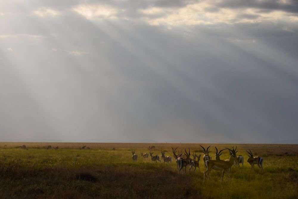 Photo voyage Tanzanie 16