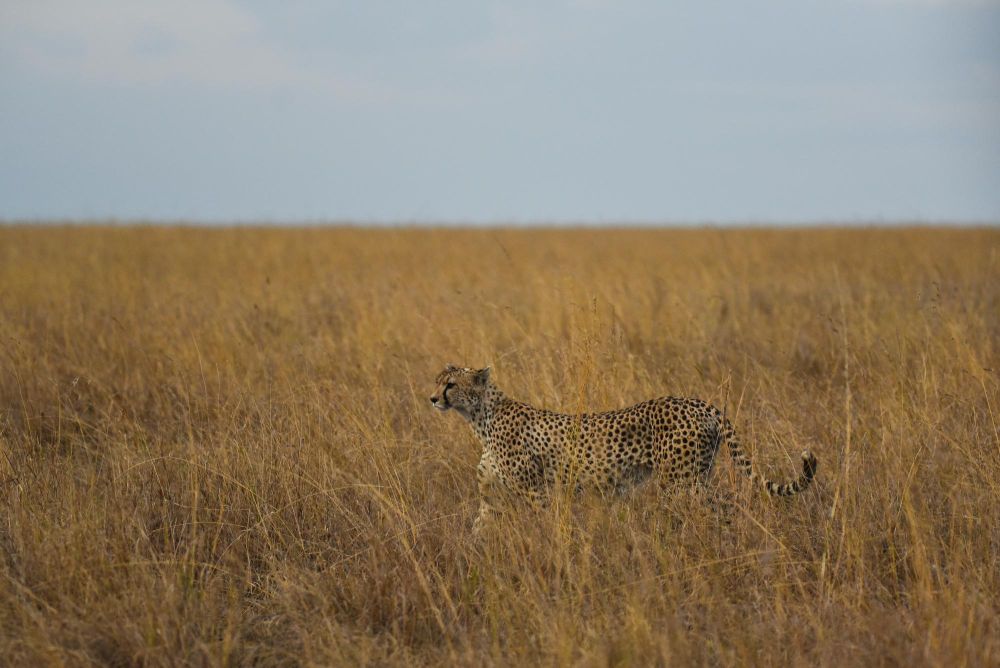 Photo voyage Tanzanie 18