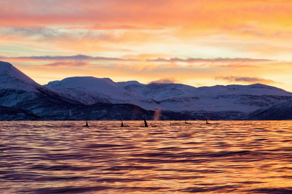 Photo voyage Norvège 2