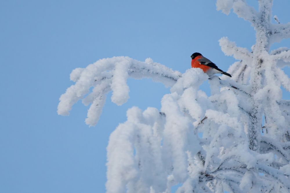 Photo voyage Norvège 19