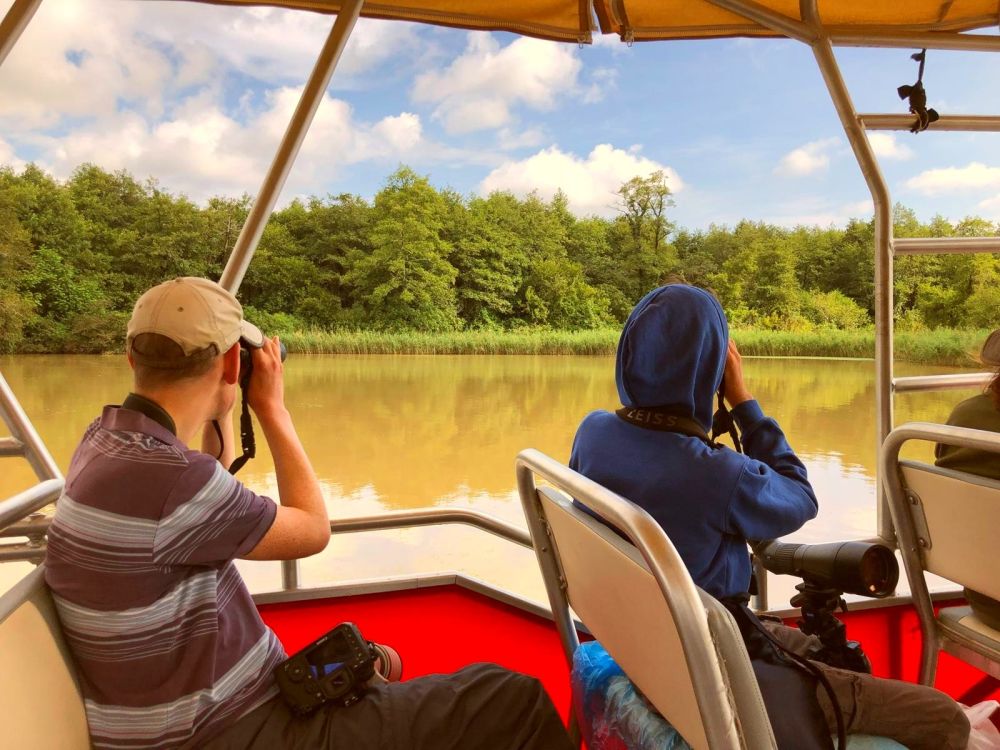 Observation en bateau