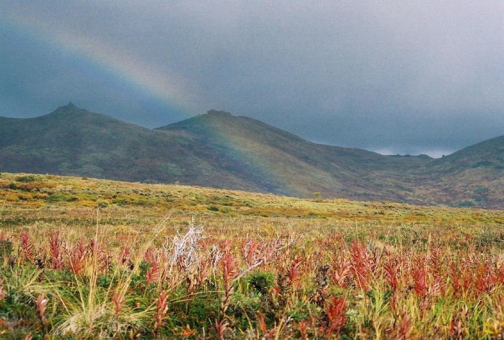 Philippe Renault Kodiak Alaska (3)