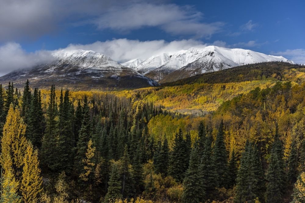 Kluane National Parc