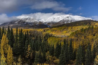 Kluane National Parc