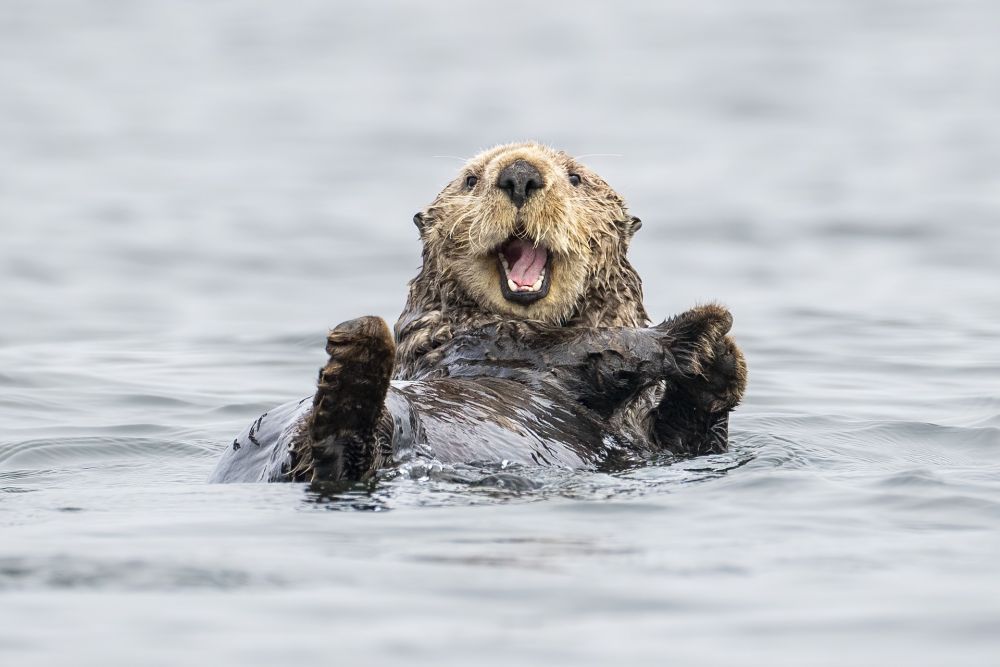 Photo voyage Canada 5