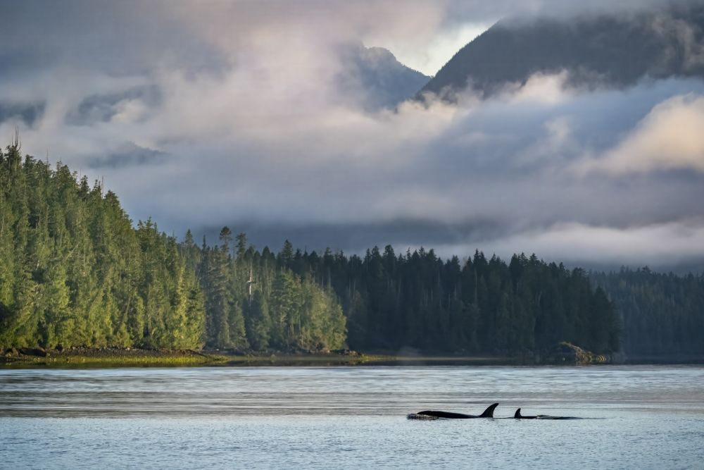 Photo voyage Canada 10