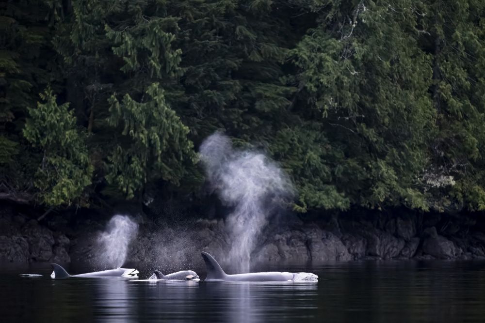 Photo voyage Canada 11