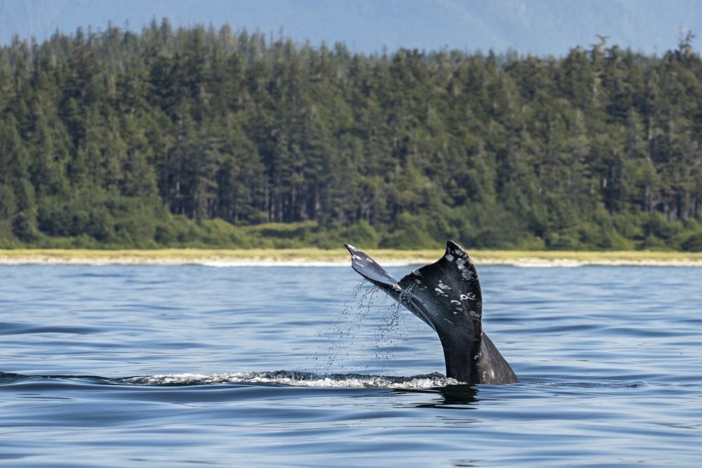 Photo voyage Canada 12