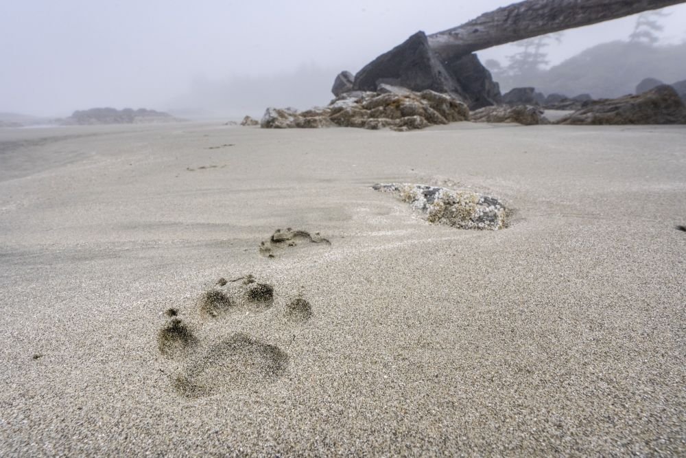 Photo voyage Canada 13