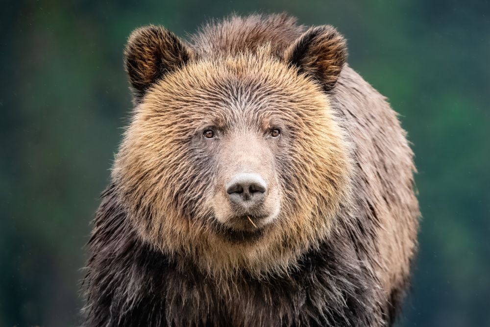 Photo voyage Canada 14