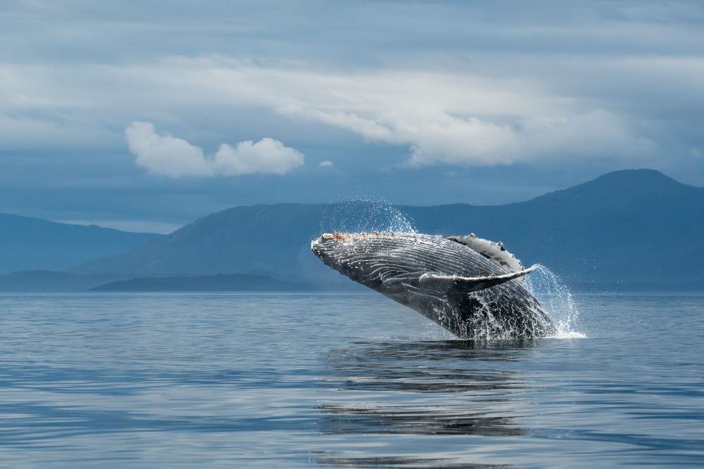 Photo voyage Canada 16