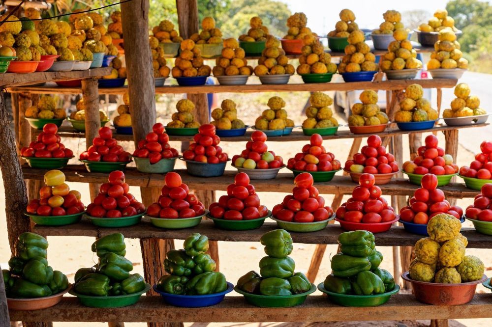 Marchés colorés Mozambique