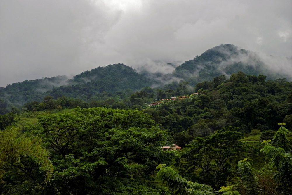 Paysage circuit herpétho