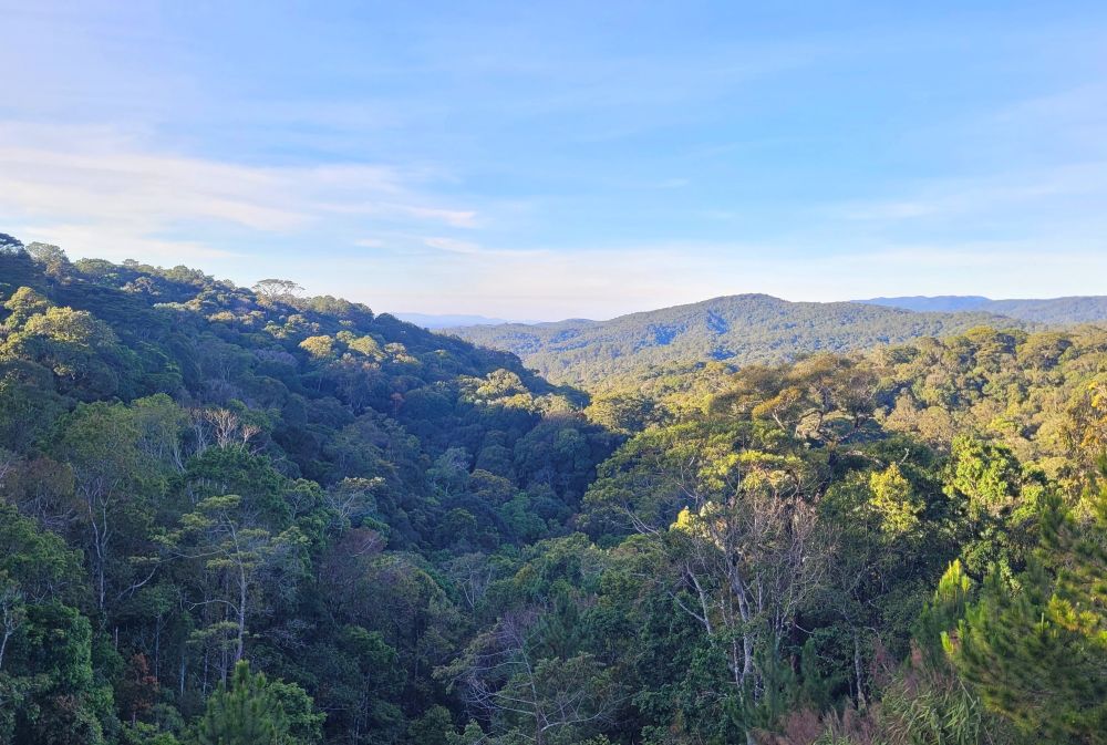 Da Lat