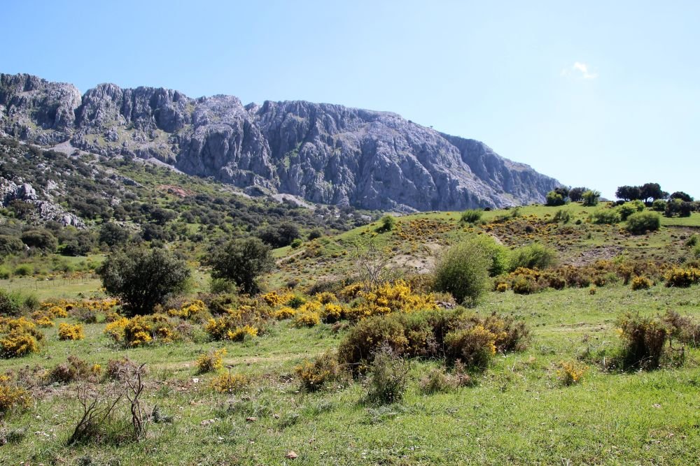 Parc naturel de Grazalema