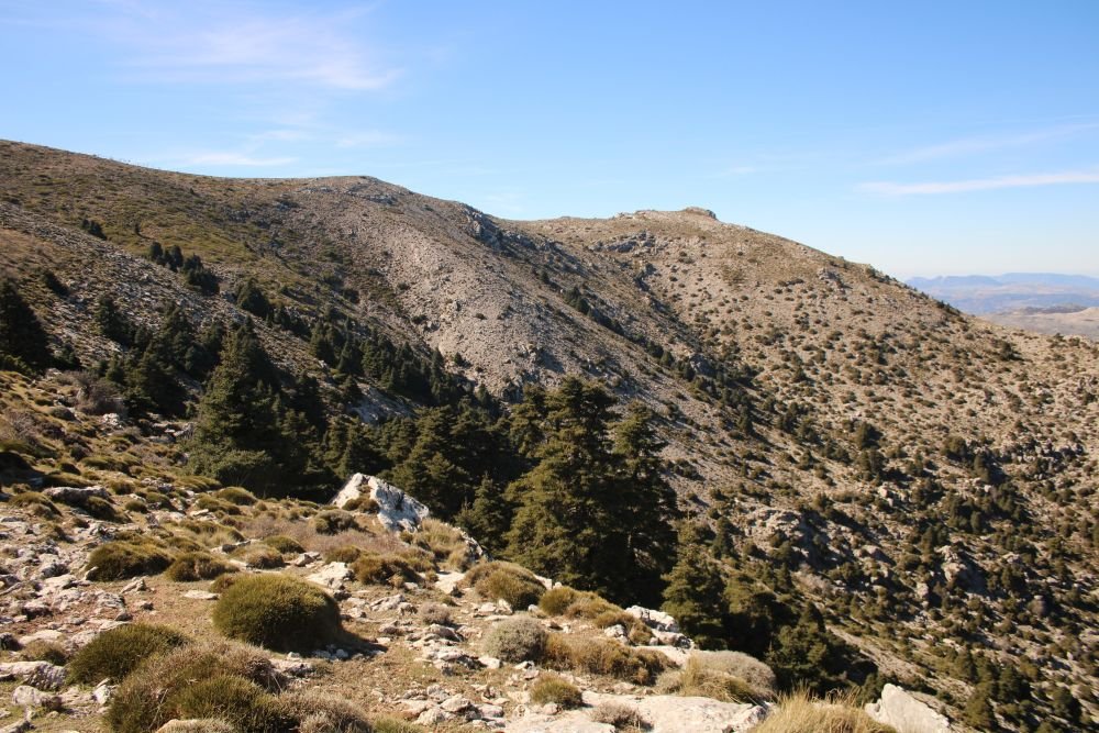 Parc naturel de Grazalema