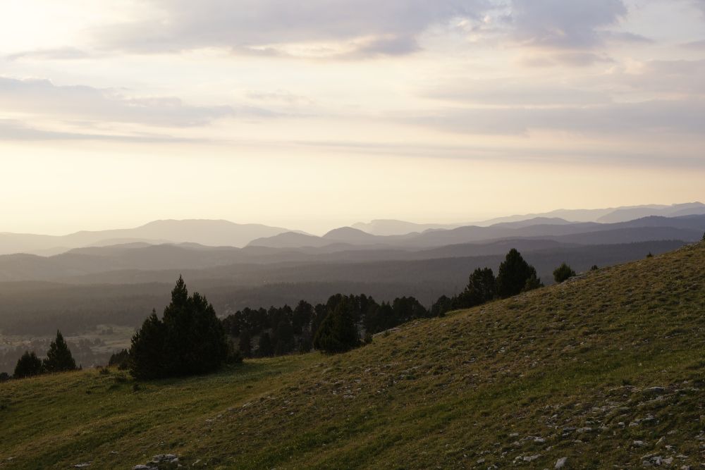 Haut du plateau du Vercors