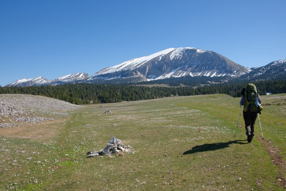 Plateau d'estive et Grand Veymont