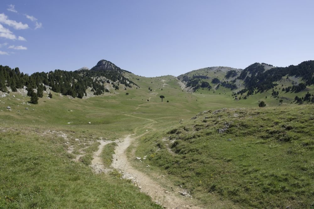 Hauts plateaux