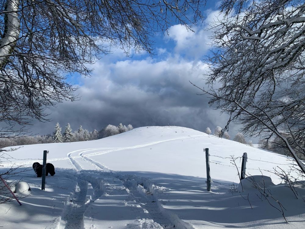 Paysage