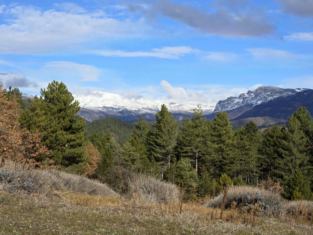 Paysage