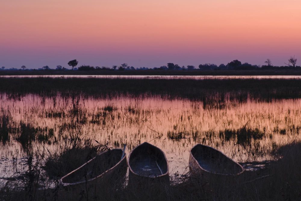 Delta de L'Okavango