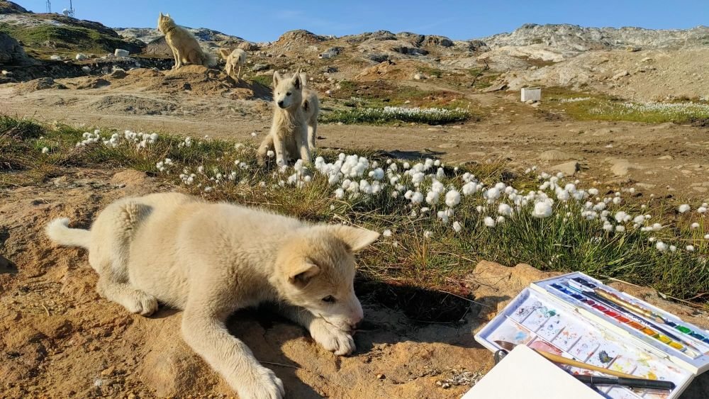 carnet de voyage au Groenland