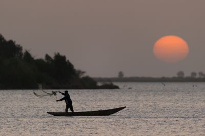 Scène de vie - Bango