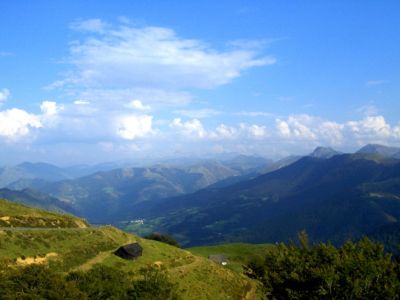 Forêt d'Iraty