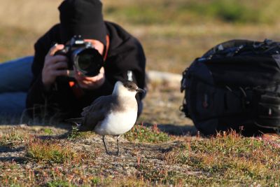 Voyages Photo naturaliste