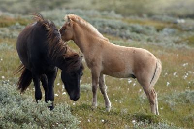 Jour 8 - Retour en France