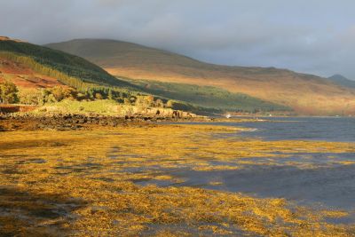 Jour 8 :  île de Mull et retour sur le continent.