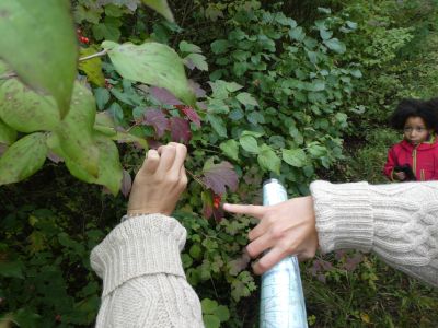 Jour 1 – Accueil et premières explorations