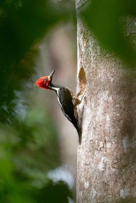 J4: Canyon d'Anaime - Cajamarca