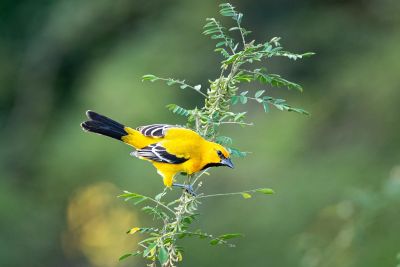 J9: Cap vers Riohacha et les Caraïbes