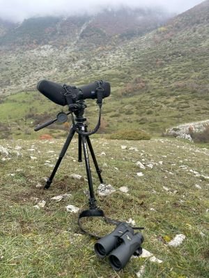 Jour 2 : Première journée sur le terrain, recherche des ours ou des loups