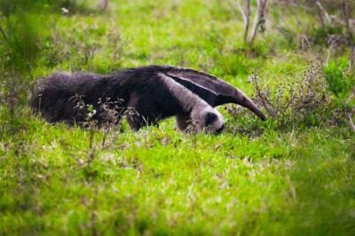 J2 et J3: Restrepo et ses environs