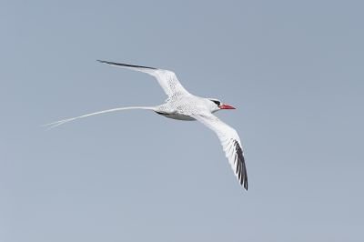 J2 - Parc national des îles de la Madeleine.