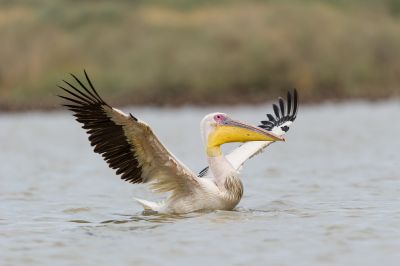 Jour 10 : Une incursion dans le Ferlo.