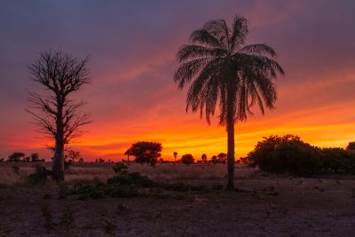 J14: De la Grande à la Petite Côte, Popenguine.
