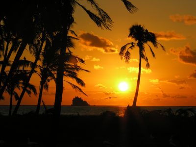 Jour 13 (J20 pour 2ème groupe) : Paris