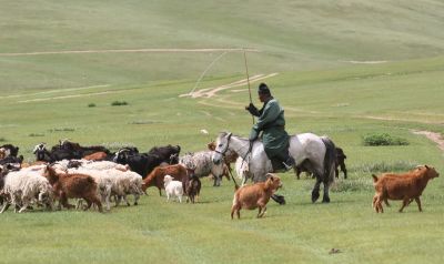 © Julien Gonin - Berger mongole Berger mongole