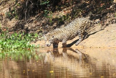 Jours 3 et 4: Journées d'observations naturalistes Jours 3 et 4: Journées d'observations naturalistes